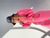 Костюм жіночий фліс полар (Рожевий неон) Розмір XS-S 09001-13 фото
